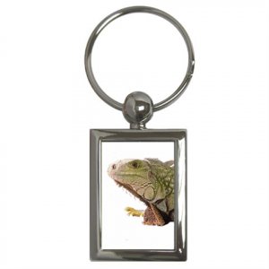 Iguana Lizard Reptile Pet Lover Key Chain Rectangle 12239856