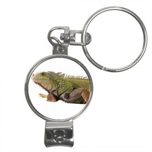 Iguana Lizard Reptile Pet Lover Nail Clippers Key Chain  17473616