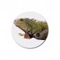 Iguana Lizard Reptile Pet Lover  Rubber Round Coaster 4 pack 12239859