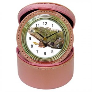 Iguana Lizard Reptile Pet Lover Jewelry Case Clock Pink 12239870