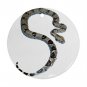 Boa Pet Lover Ornament Round 12240318