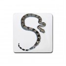 Boa Lover Rubber Square Coaster 4 pack 12240329