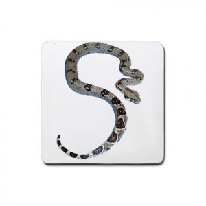 Boa Lover Rubber Square Coaster 4 pack 12240329