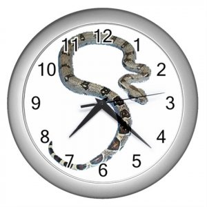 Boa Pet Lover Wall Clock Silver 12240332
