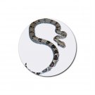 Boa Pet Lover  Rubber Round Coaster 4 pack 12240341