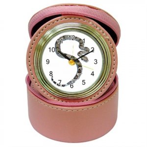 Boa Snake Jewelry Case Clock Pink Pet Lover  12240352