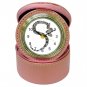 Boa Snake Jewelry Case Clock Pink Pet Lover  12240352