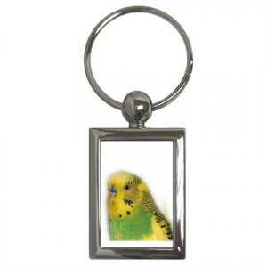 Parakeet Bird Pet Lover Key Chain Rectangle 16301624