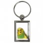 Parakeet Bird Pet Lover Key Chain Rectangle 16301624