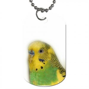 Parakeet Bird Pet Lover Dog Tag Necklace Chain 16301627