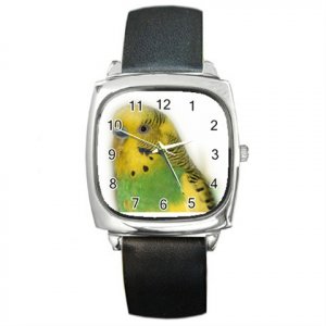 Parakeet Bird Pet Lover Square Metal Watch Unisex 16301634