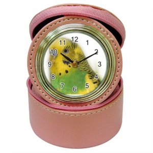 Parakeet Bird Jewelry Case Clock Pink Pet Lover  16301638