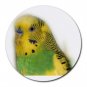 Parakeet bird Pet Lover  Round Mousepad 16302688