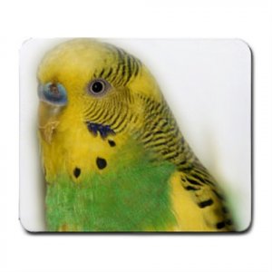 Parakeet Bird  Pet Lover  Large Mousepad 16302692