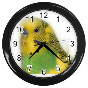 Parakeet Bird Pet Lover Black Wall Clock 16302693