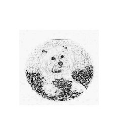 Custom Pet SKETCHED with YOUR pet's photo  8x10 emailed to you