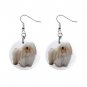 Coton de Tulear Dog Pet Lover Jewelry Button Earrings 13164147