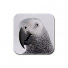AFRICAN GREY Bird Pet Lover Rubber Square Coaster 4 pack 17476841