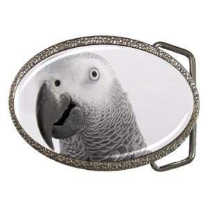 AFRICAN GREY Bird Pet Lover Belt Buckle 17476844