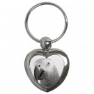 AFRICAN GREY Bird Pet Lover  Key Chain Heart keychain 17476853
