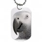 AFRICAN GREY Bird Pet Lover Dog Tag Necklace Chain 17476855