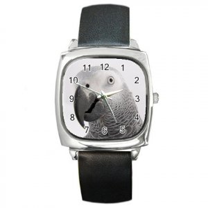 AFRICAN GREY Bird Pet Lover Square Metal Watch Unisex 17476860