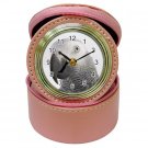 AFRICAN GREY Bird Jewelry Case Clock Pink Pet Lover  17476864 PAEC