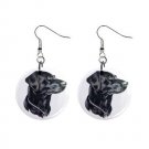 Black Lab Labrador Retriever Dog Jewelry Button Earrings 12135262