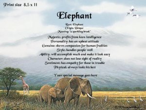ELEPHANTS, Africa - PERSONALIZED 1 Name Meaning Print