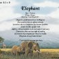 ELEPHANTS, Africa - PERSONALIZED 1 Name Meaning Print