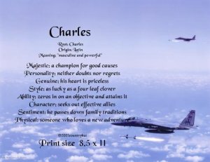 Airforce - PERSONALIZED 1 Name Meaning Print  #2