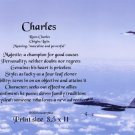 AIR FORCE #2- PERSONALIZED 1 Name Meaning Print   - no US s/h fee