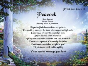 PEACOCK - PERSONALIZED 1 Name Meaning Print  - no US s/h fee