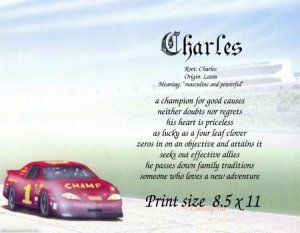 RACING car #2 - PERSONALIZED 1 Name Meaning Print  - no US s/h fee