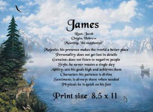 MOUNTAIN MAJESTY, Deer, Fishing  - PERSONALIZED 1 Name Meaning Print  - no US s/h fee