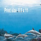 DOLPHINS #5 - PERSONALIZED 1 or 2 Name Meaning Print  - no US s/h fee