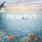 UNDER the SEA, Dophins, Sea Turtle - PERSONALIZED 1 Name Meaning Print  - no US s/h fee