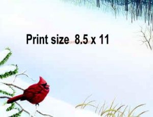 Winter CARDINAL - PERSONALIZED 1 Name Meaning Print  - no US s/h fee