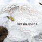 EAGLE MOUNTAIN - PERSONALIZED 1 Name Meaning Print  - no US s/h fee