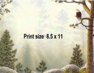 SERENITY FOREST #2 - PERSONALIZED 1 Name Meaning Print  - no US s/h fee