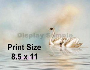 SWAN LAKE - PERSONALIZED 1  Name Meaning Print  - no US s/h fee