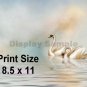 SWAN LAKE - PERSONALIZED 1  Name Meaning Print  - no US s/h fee