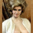 ROSEMARI HILLCREST Pinup YEAR 1964 Premier H.Q Metallic Photo Print 8x10 Nr 30