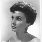 8x10 Metallic Finish Print British & Hollywood Actress JEAN SIMMONS Portrait #16
