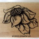 Stampin Up Rubber Stamp 2000 Flower In The Garden Wood Mounted Floral