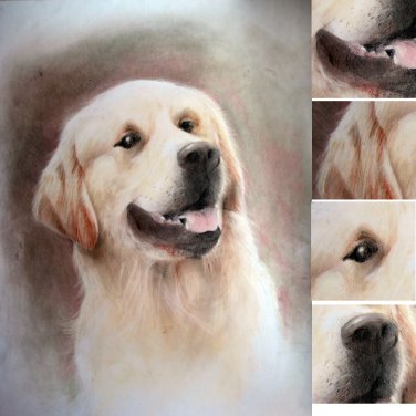 Pet dog portrait 50x70 cm drawing with pencil on paper commission handmade picture from Italy