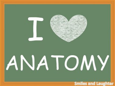 I Love Anatomy, Printable Poster