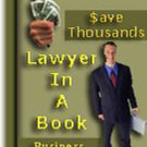 Lawyer in a Book on a CD With Full Resale Rights Included