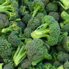 BROCCOLI SEEDS 500+ WALTHAM 29 garden VEGETABLES cooking CULINARY