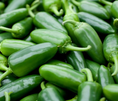 spicy MEXICAN CULINARY salsa CULINARY FREE SHIPPING JALAPENO M PEPPER SEEDS 50